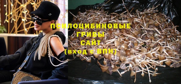 спиды Белоозёрский