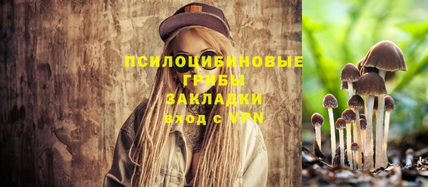 мяу мяу мука Белокуриха