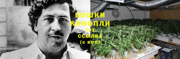 спиды Белоозёрский